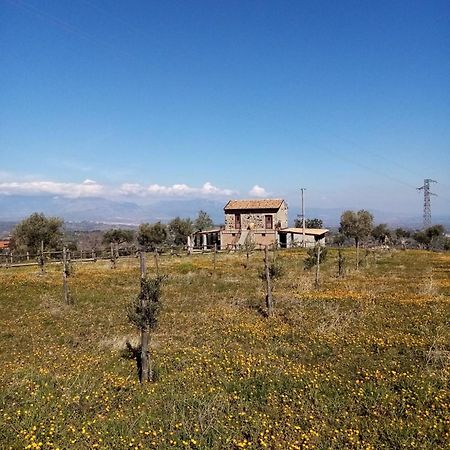 La Giara B&B San Demetrio Corone Kültér fotó