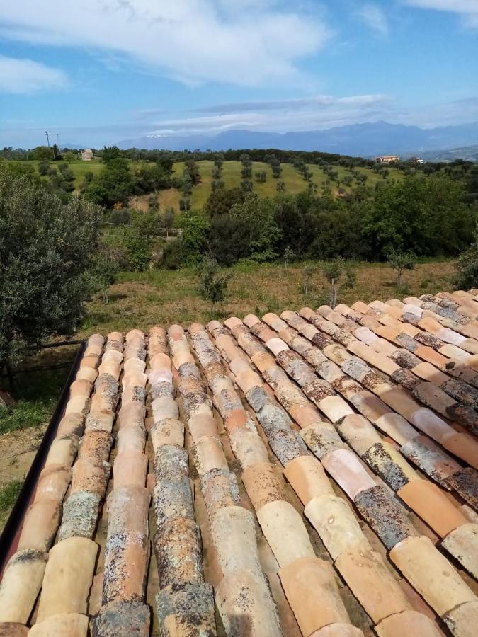 La Giara B&B San Demetrio Corone Kültér fotó