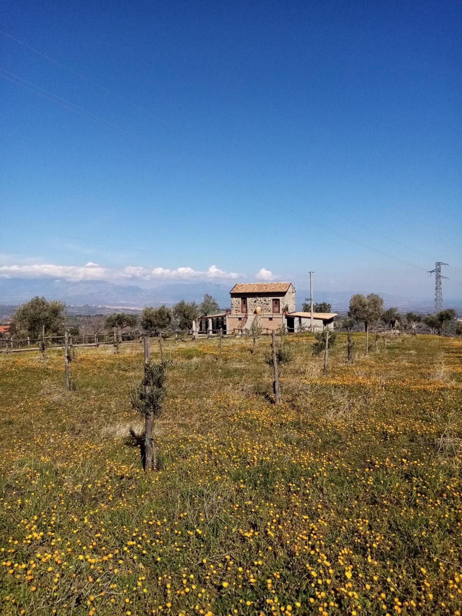 La Giara B&B San Demetrio Corone Kültér fotó