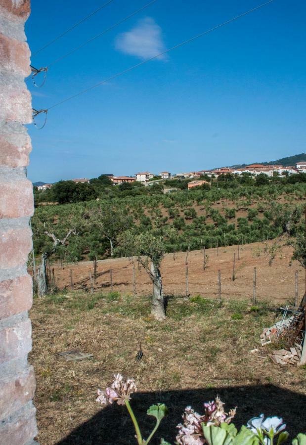 La Giara B&B San Demetrio Corone Kültér fotó